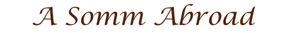 asomm-abroad-logo